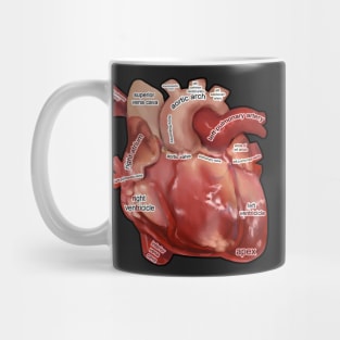 Anatomy of the  Human Heart Mug